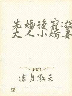 先婚后宠:总裁大人小娇妻