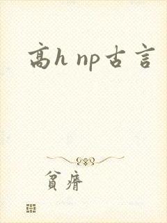高h np古言