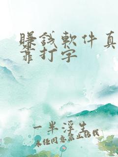 赚钱软件真实可靠打字