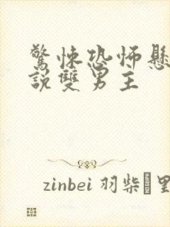 惊悚恐怖悬疑小说双男主