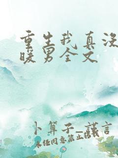 重生我真没想当暖男全文