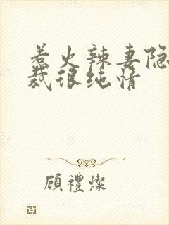 惹火辣妻隐婚总裁很纯情