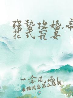 强势攻婚,帝少花式宠妻