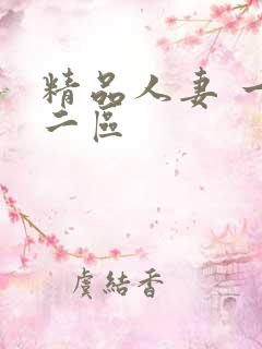 精品人妻 一区二区