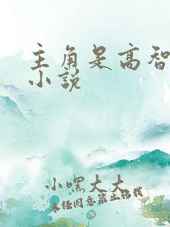 主角是高智商的小说