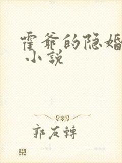 霍爷的隐婚罪妻 小说