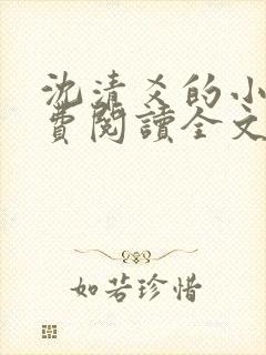 沈清爻的小说免费阅读全文