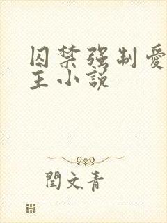 囚禁强制爱双男主小说