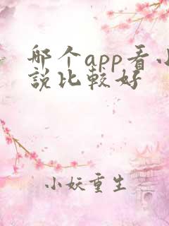 哪个app看小说比较好
