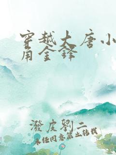 穿越大唐小说主角金锋