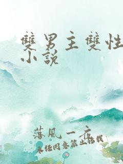 双男主双性调教小说