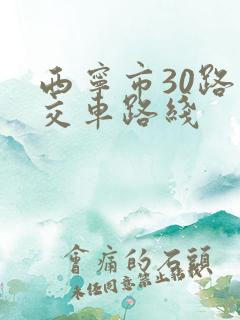 西宁市30路公交车路线