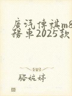广汽传祺m8商务车2025款