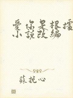 爱你是根据哪部小说改编