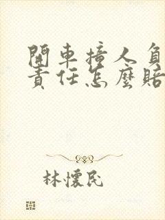 开车撞人负次要责任怎么赔