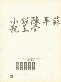 小说陈平苏雨琪龙王令