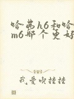 哈弗h6和哈弗m6哪个更好一点