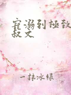 宠溺到极致的大叔文
