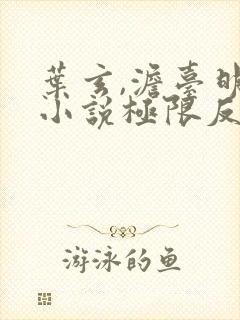 叶玄,澹台明月小说极限反派