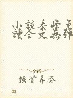 小说秦峰免费阅读全文无弹窗
