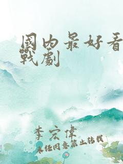 国内最好看的谍战剧