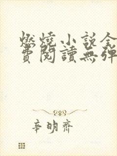 燃烧小说全文免费阅读无弹窗 燃烧小说全文免费阅读无弹窗