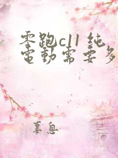 零跑c11 纯电动需要多少钱