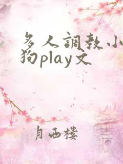 多人调教小骚母狗play文