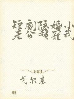 短剧隐婚小十岁老公超宠我免费观看全集