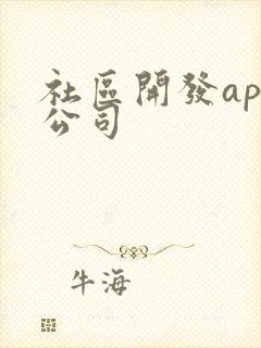 社区开发app公司