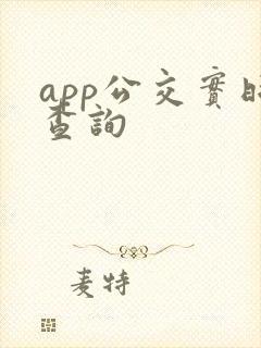 app公交实时查询