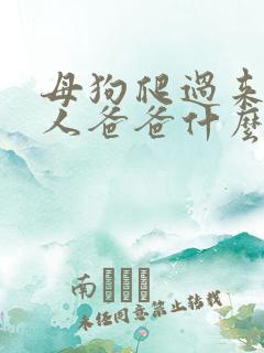 母狗爬过来叫主人爸爸什么 母狗爬过来叫主人爸爸什么