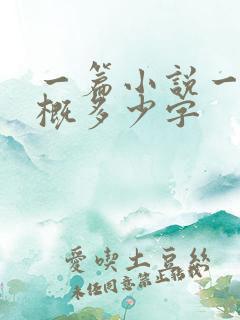 一篇小说一章大概多少字