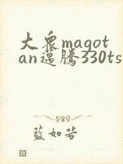 大众magotan迈腾330tsi报价
