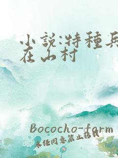 小说:特种兵王在山村