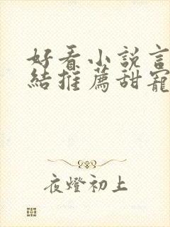 好看小说言情完结推荐甜宠文