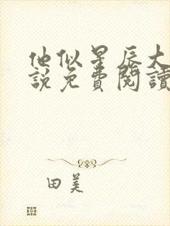 他似星辰大海小说免费阅读