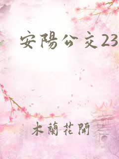 安阳公交23路