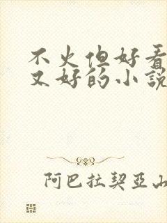 不火但好看文笔又好的小说