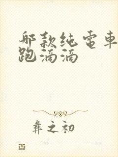 哪款纯电车适合跑滴滴
