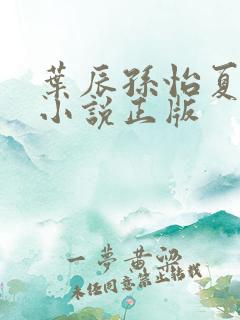叶辰孙怡夏若雪小说正版