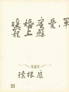暖婚蜜爱,军官宠上瘾