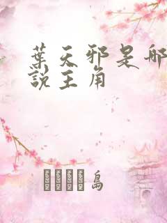 叶天邪是哪部小说主角 叶天邪是哪部小说主角