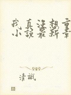 我真没想重生啊小说最新章节阅续