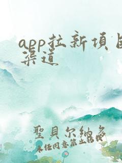 app拉新项目渠道