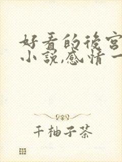 好看的后宫玄幻小说,感情一定要深刻