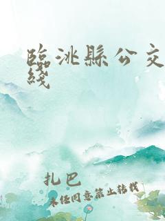 临洮县公交车路线