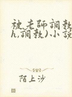 被老师调教(高h,调教)小说