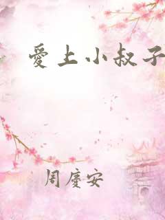 爱上小叔子小说