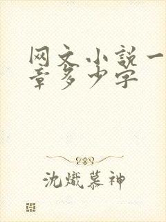网文小说一般一章多少字